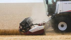 В Ростовской области собрали рекордные 12,7 млн тонн зерновых